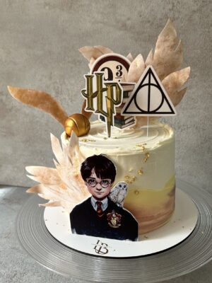 Harry Potter cake