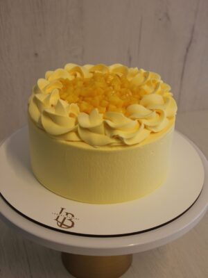 IMG_8880 Mango Cake XS