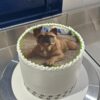 Tarta Personalizada Sencilla / Impresión Comestible