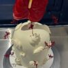 Tarta Floral Anthurium Rojo
